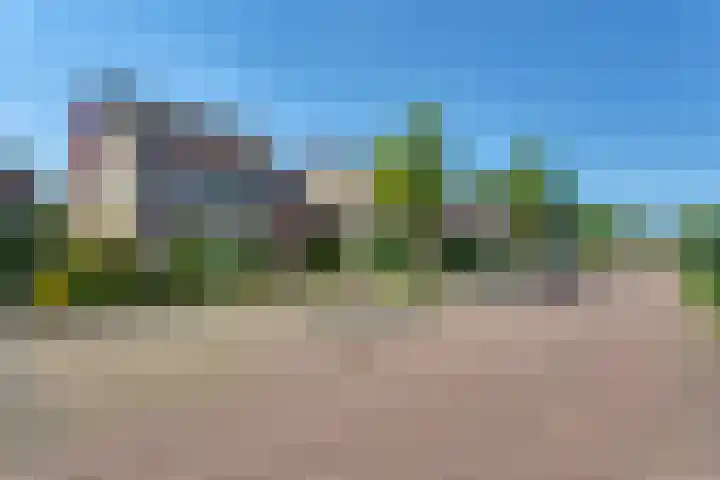 Tureluur 10 Elburg thumbnail 50