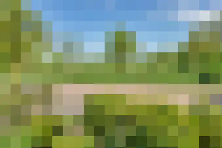 Tureluur 10 Elburg thumbnail 51