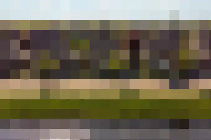 Tureluur 10 Elburg thumbnail 53