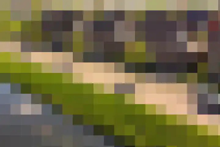 Tureluur 10 Elburg thumbnail 54