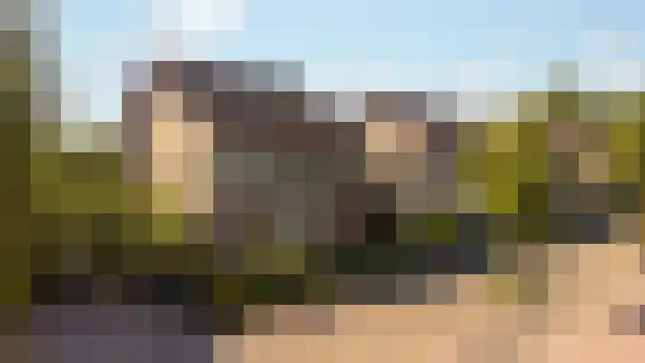 Tureluur 10 Elburg thumbnail 58