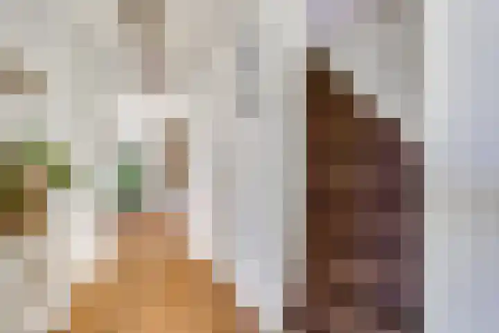 Tureluur 10 Elburg thumbnail 7