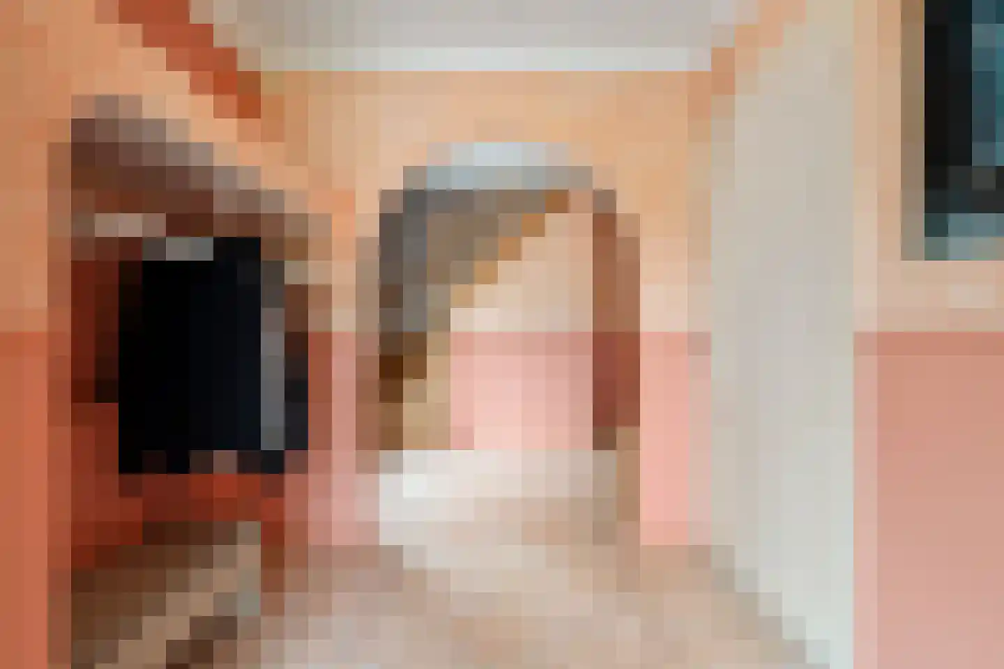 Tureluur 10 Groet thumbnail 11