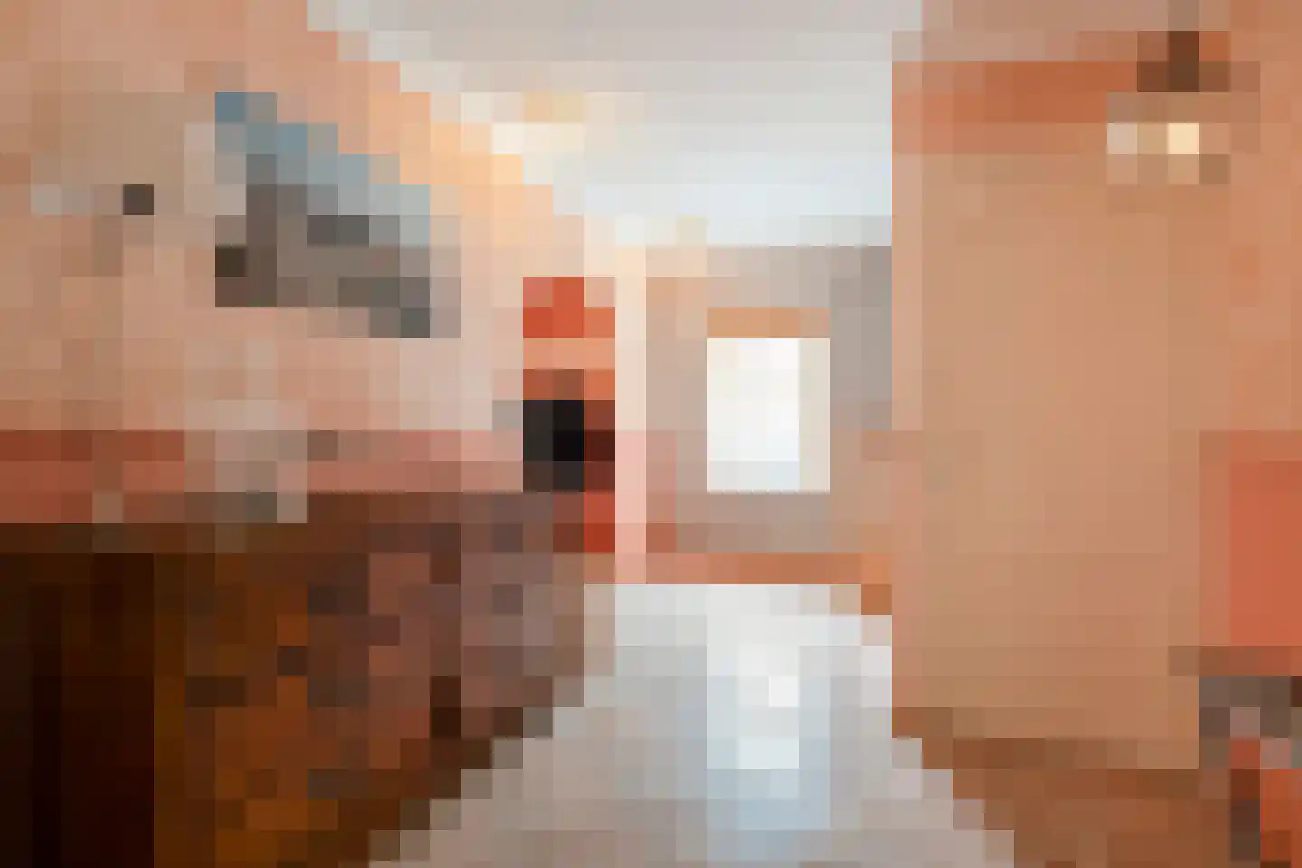 Tureluur 10 Groet thumbnail 15
