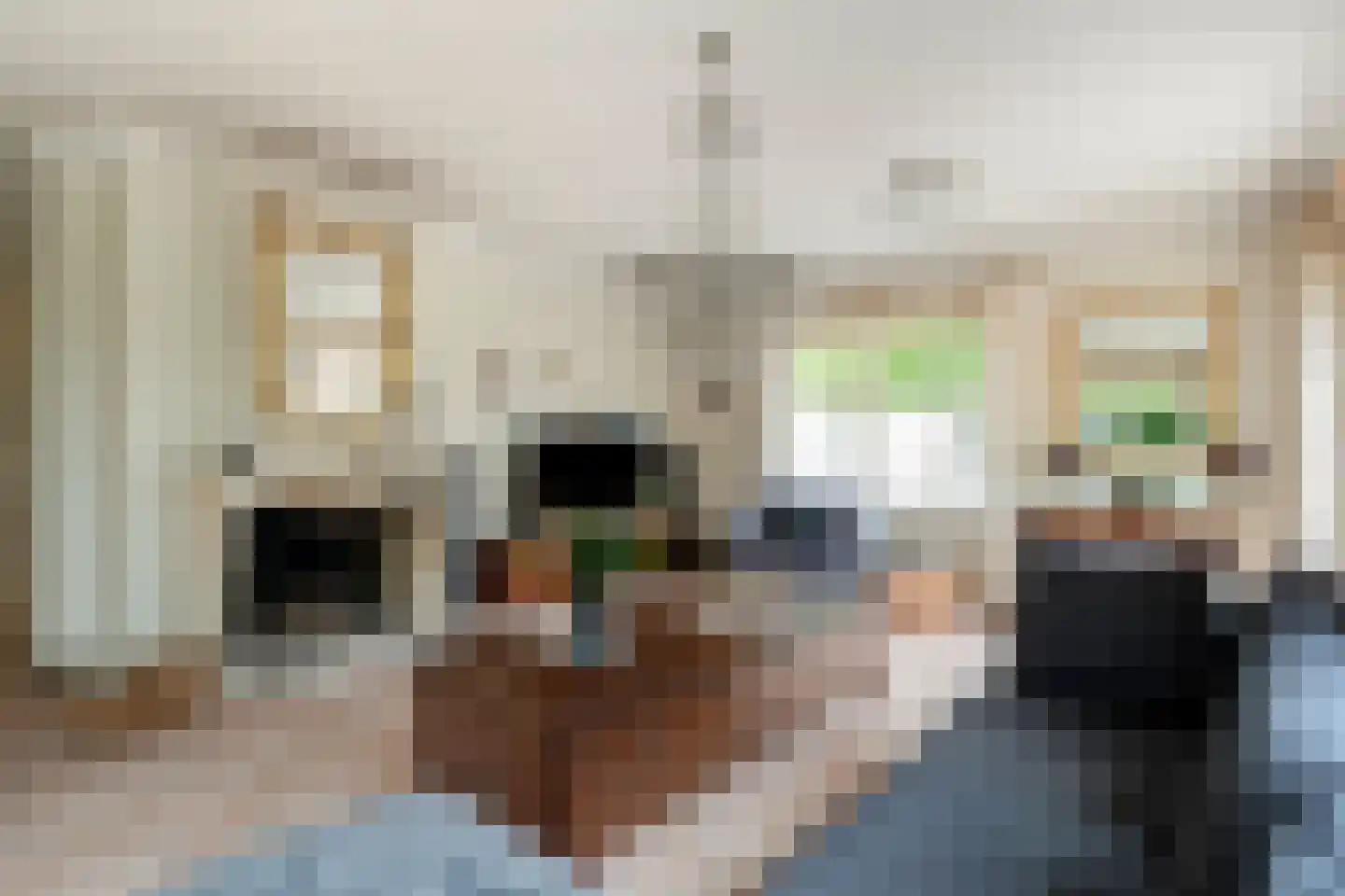 Tureluur 10 Groet thumbnail 19