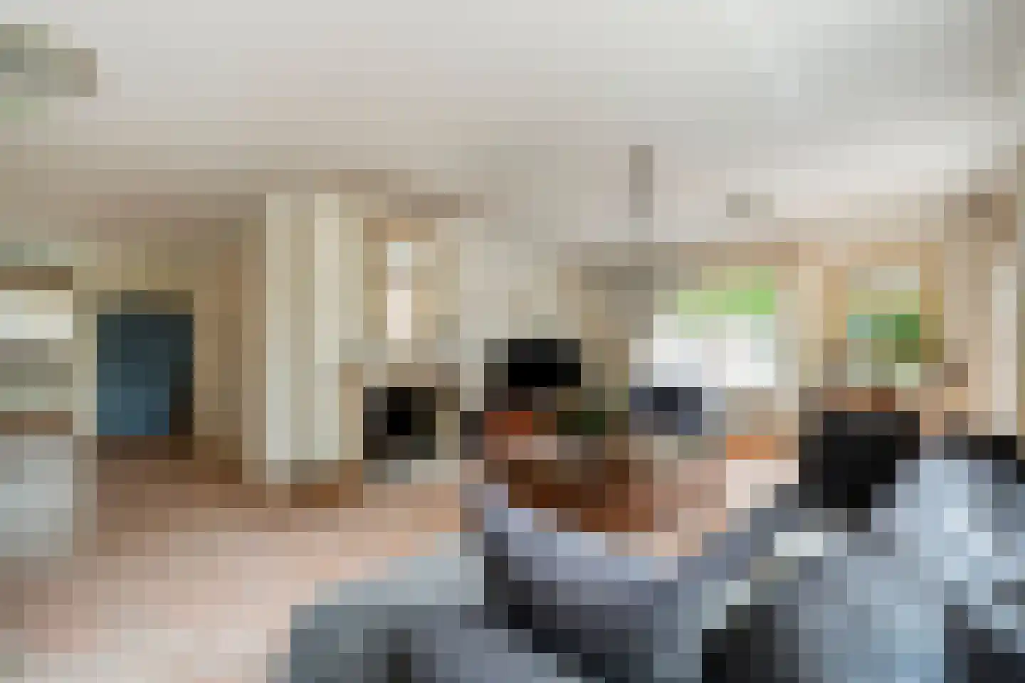 Tureluur 10 Groet thumbnail 22