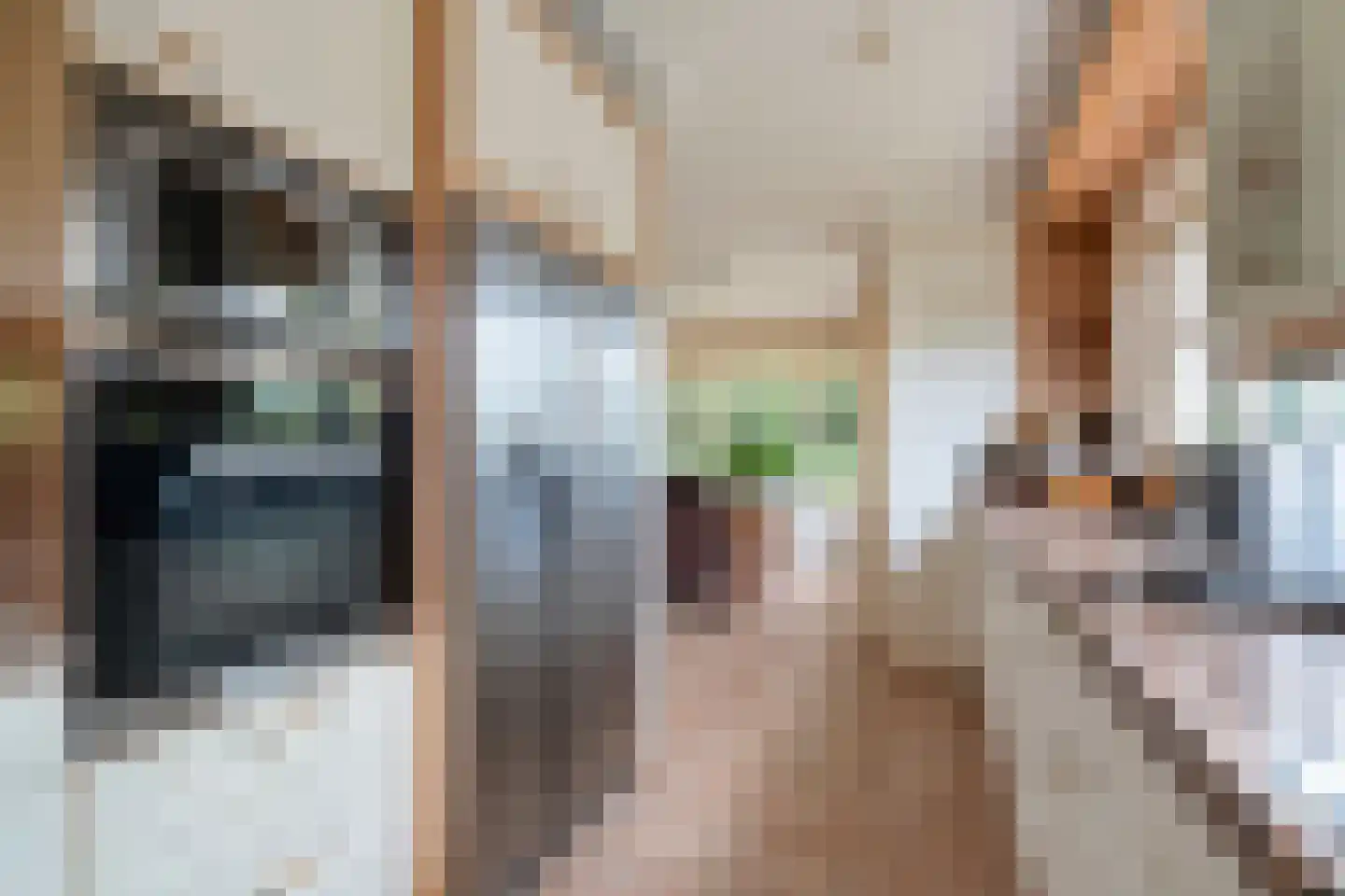 Tureluur 10 Groet thumbnail 32