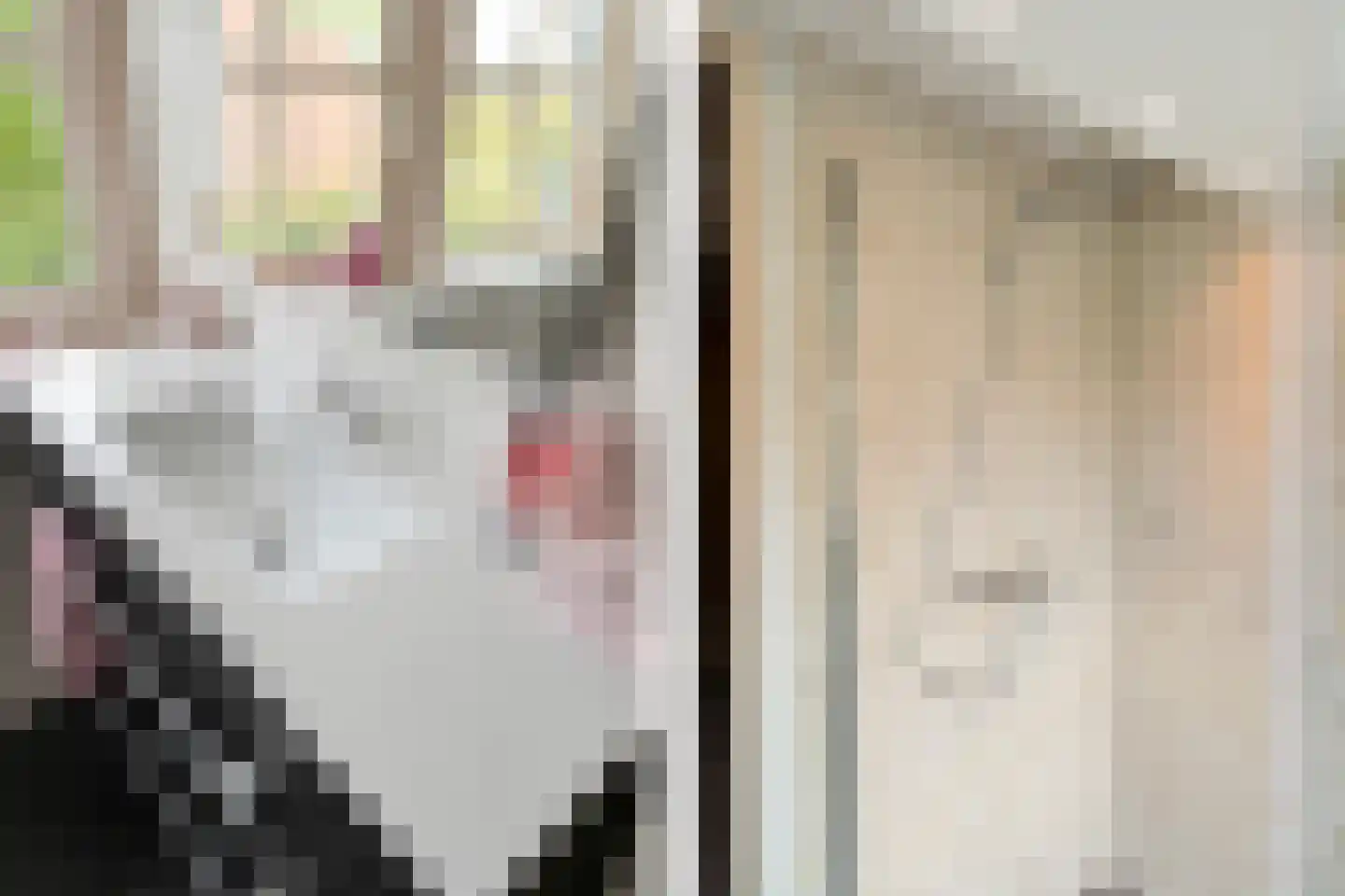 Tureluur 10 Groet thumbnail 40