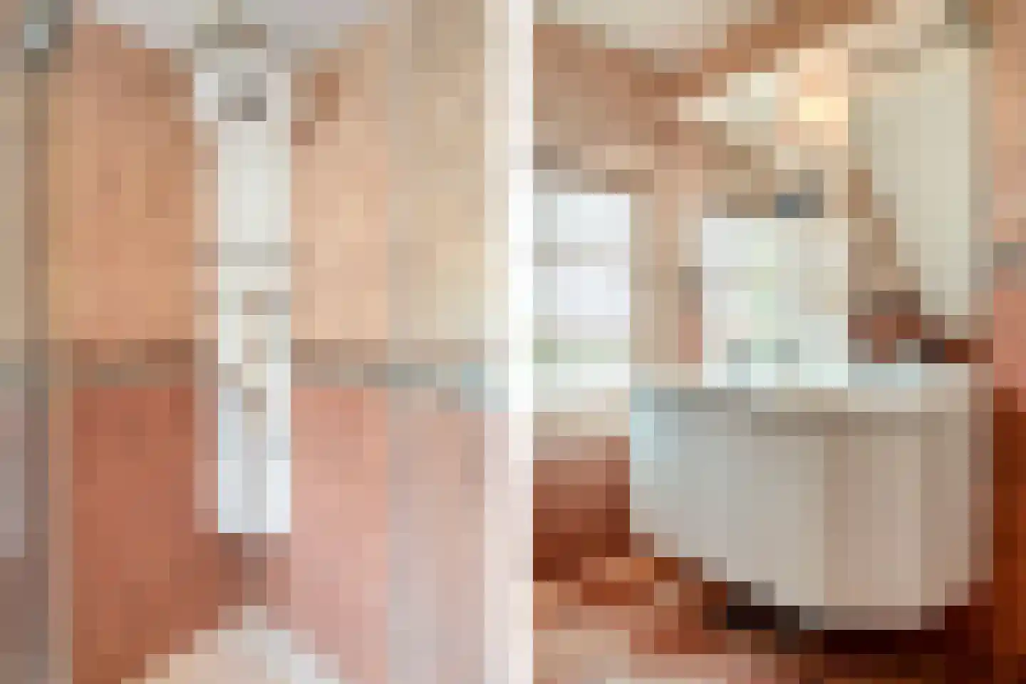 Tureluur 10 Groet thumbnail 50