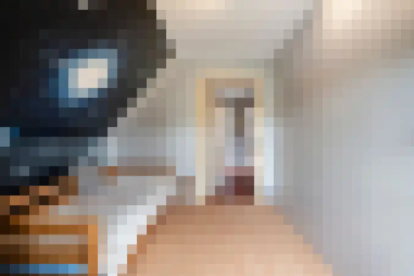 Tureluur 10 Groet thumbnail 52