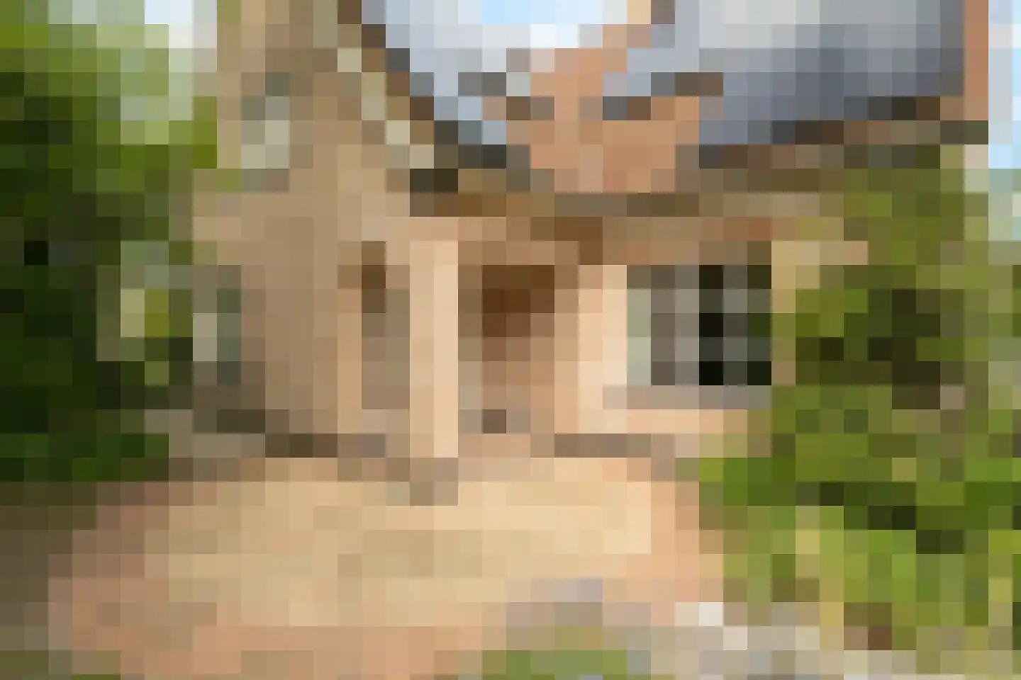 Tureluur 10 Groet thumbnail 54