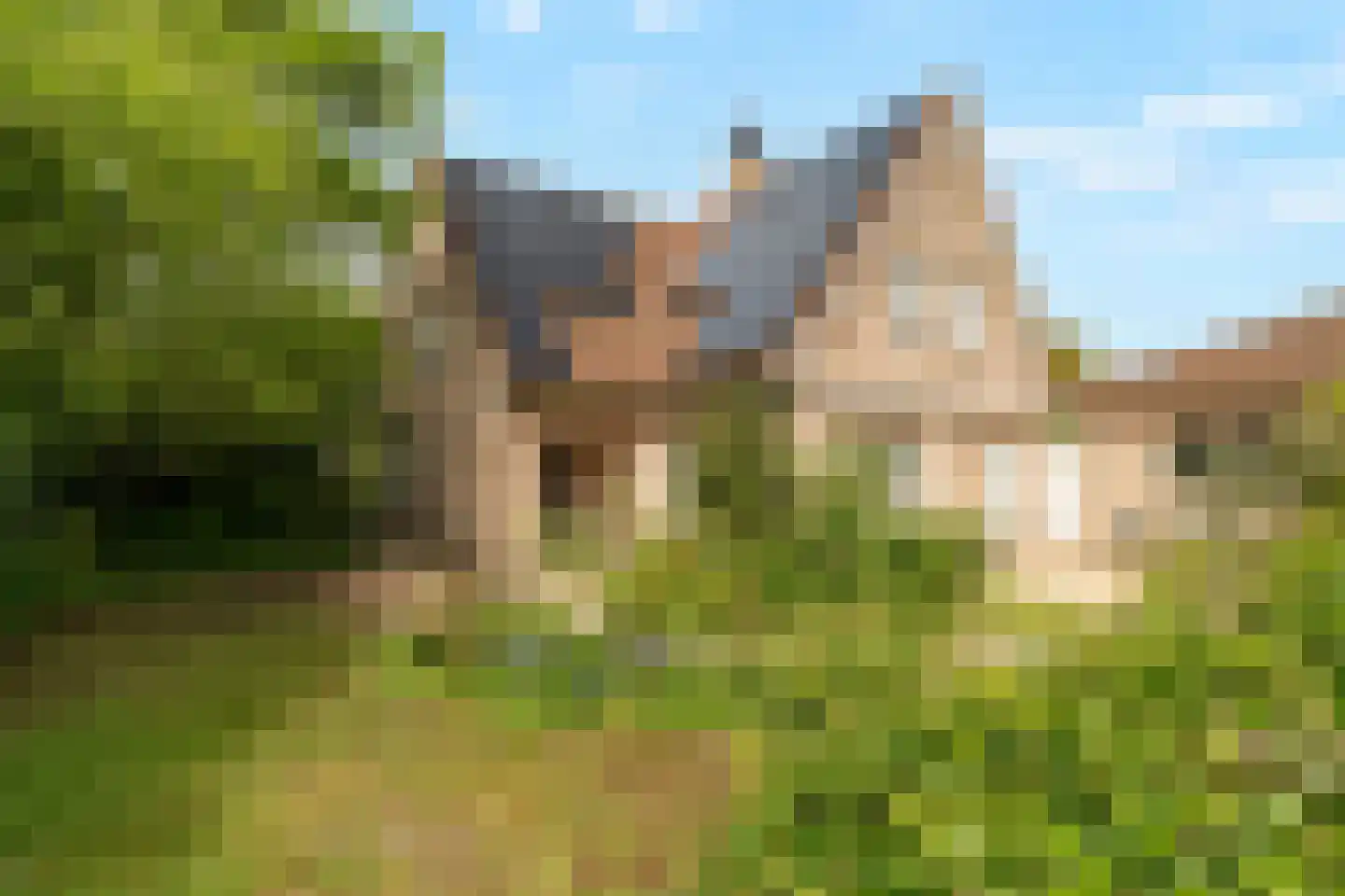 Tureluur 10 Groet thumbnail 55