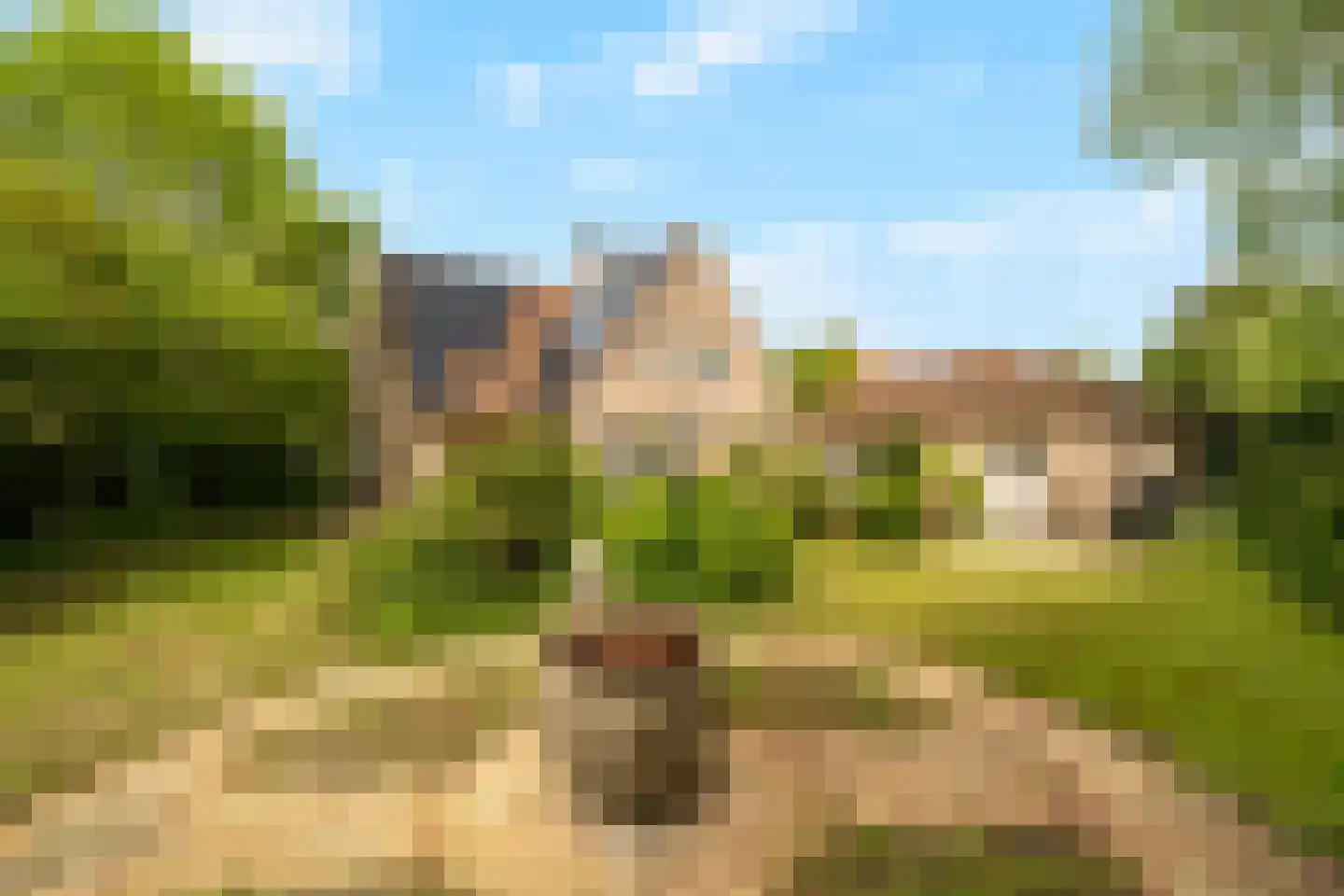 Tureluur 10 Groet thumbnail 56
