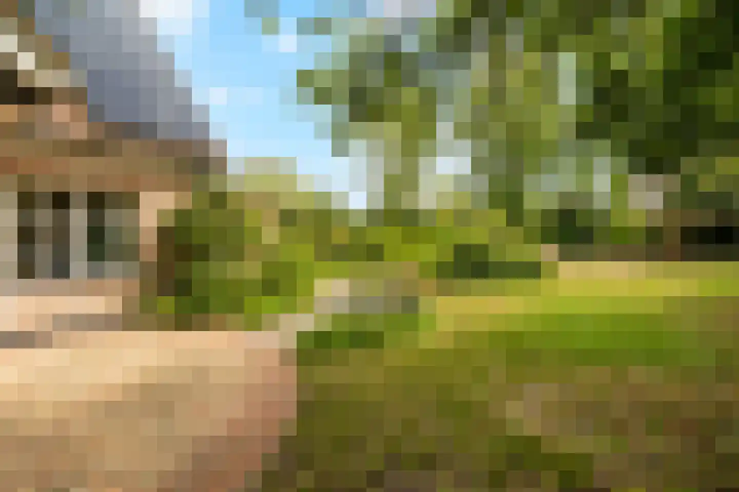 Tureluur 10 Groet thumbnail 57
