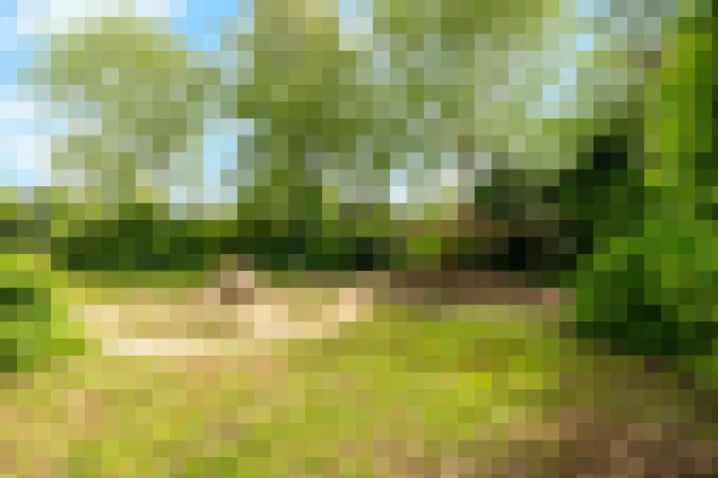 Tureluur 10 Groet thumbnail 58