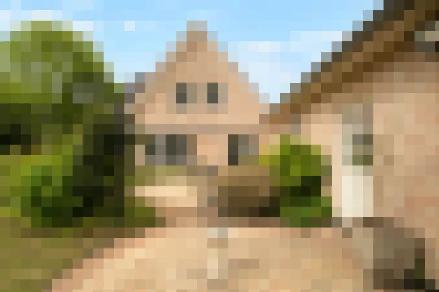 Tureluur 10 Groet thumbnail 59
