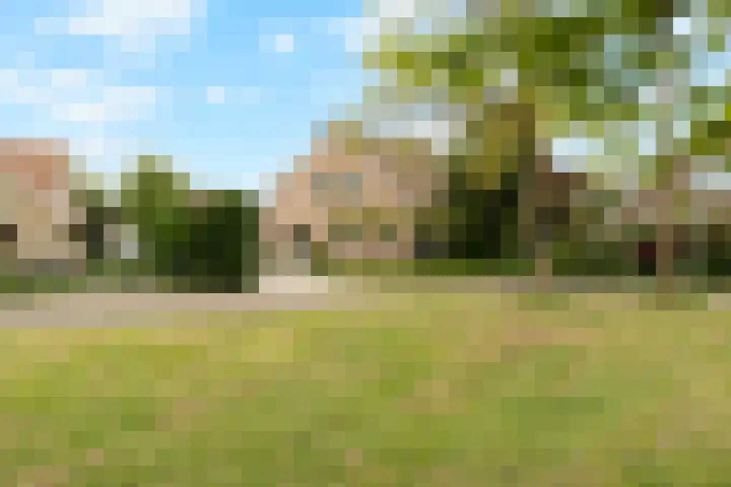 Tureluur 10 Groet thumbnail 6