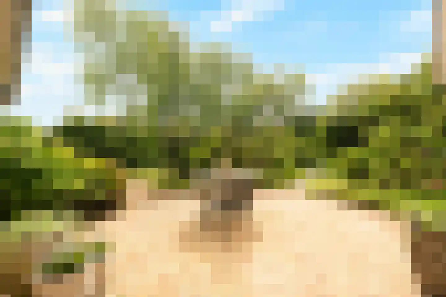 Tureluur 10 Groet thumbnail 60