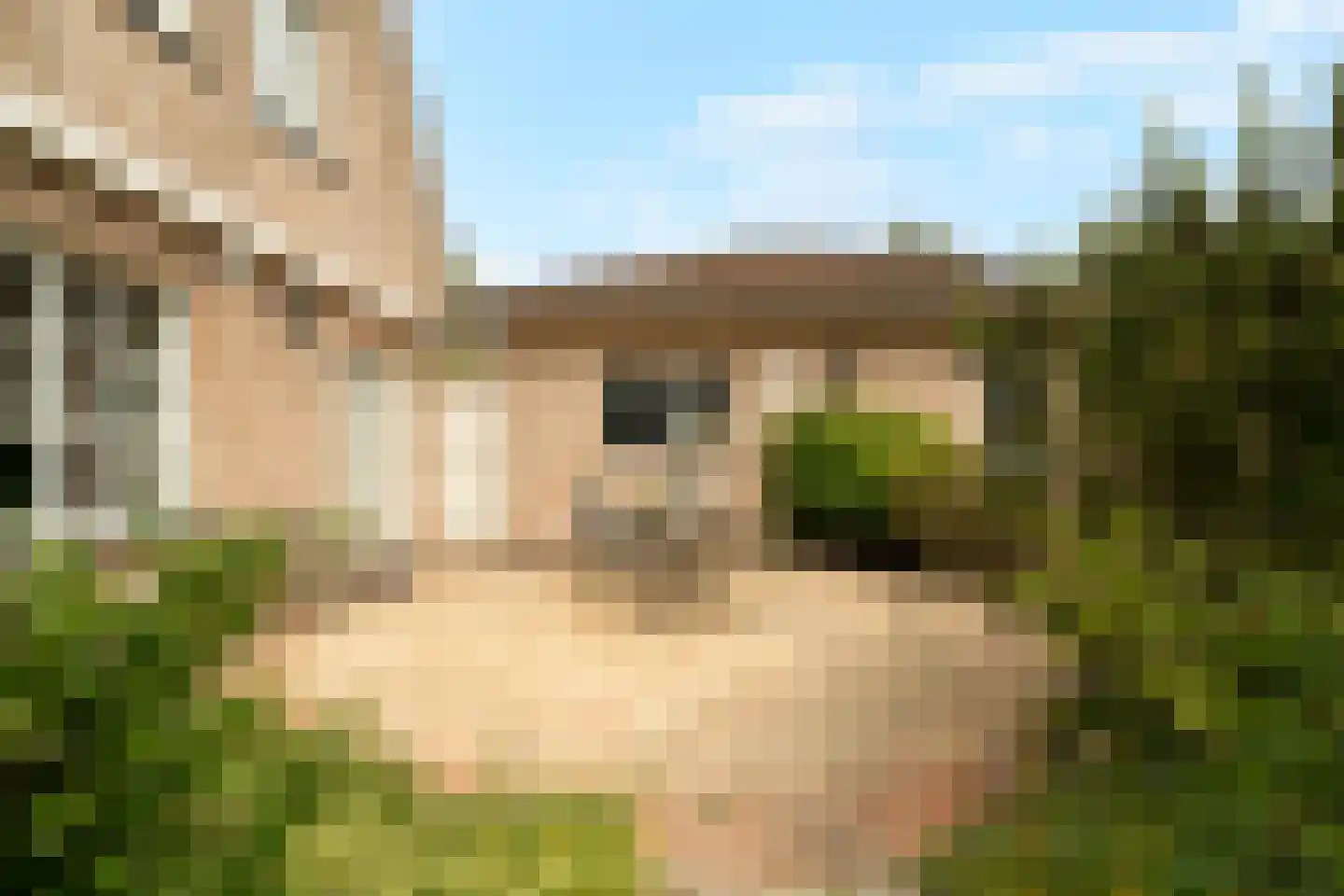 Tureluur 10 Groet thumbnail 62