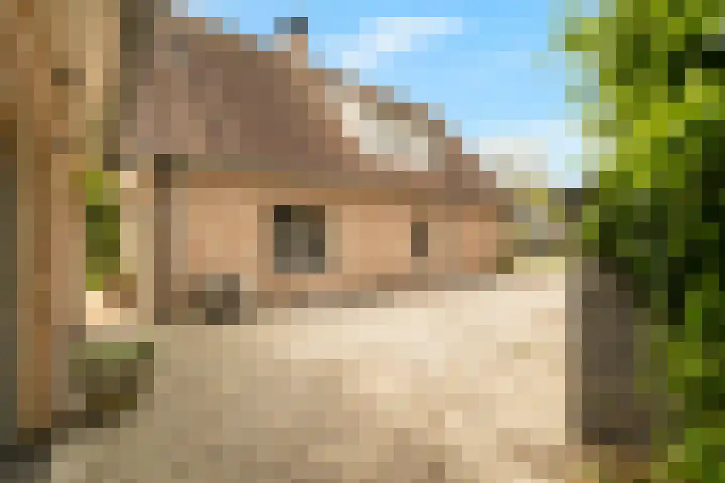 Tureluur 10 Groet thumbnail 63