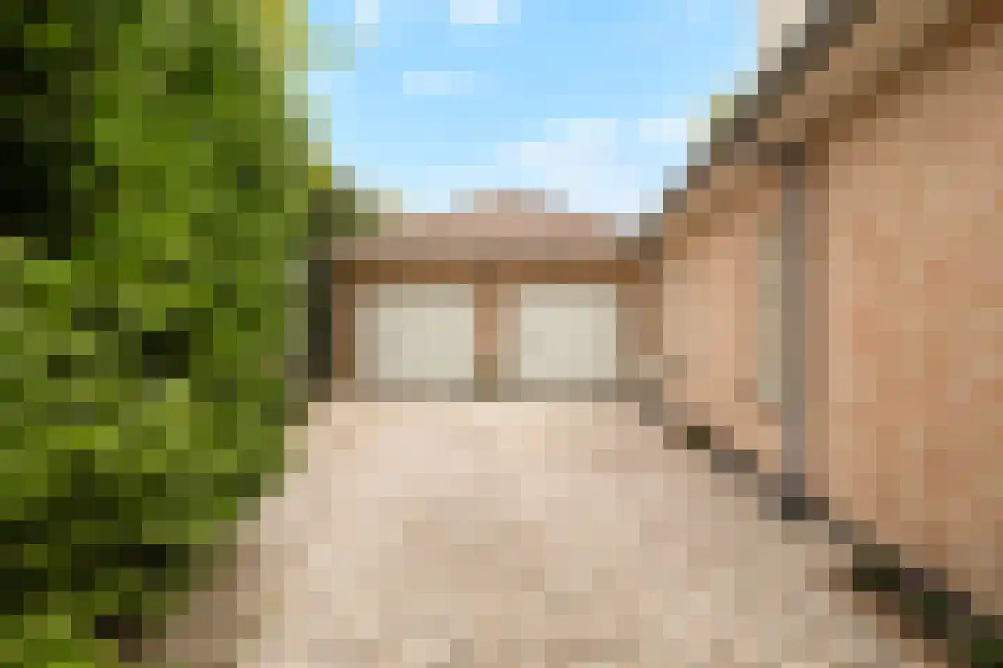 Tureluur 10 Groet thumbnail 64