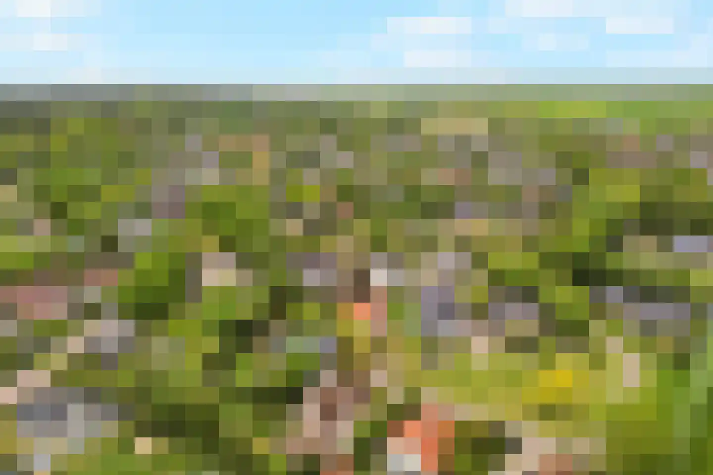 Tureluur 10 Groet thumbnail 67
