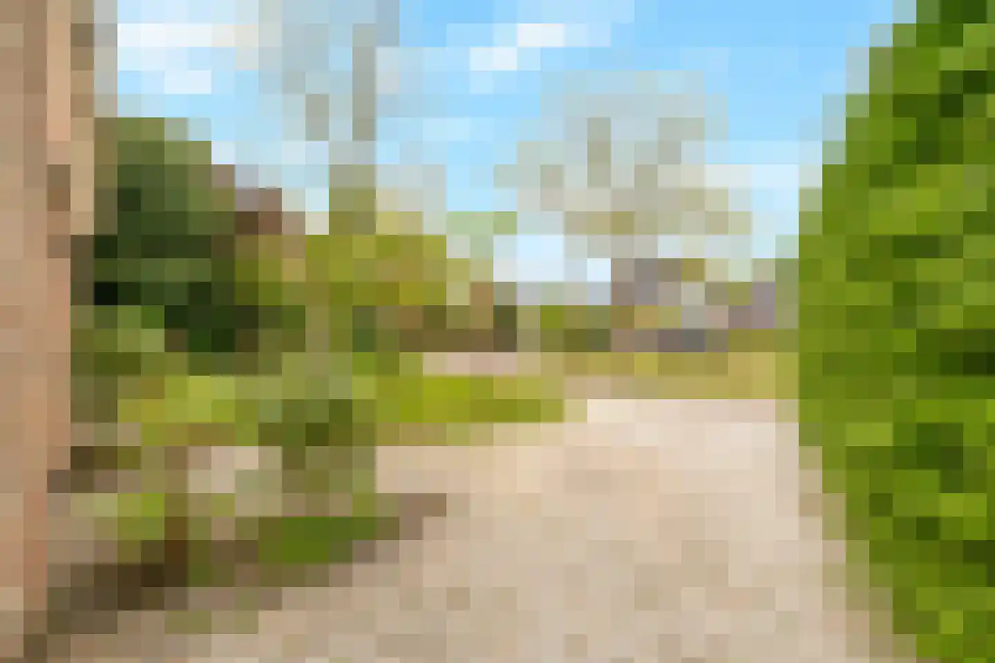 Tureluur 10 Groet thumbnail 8