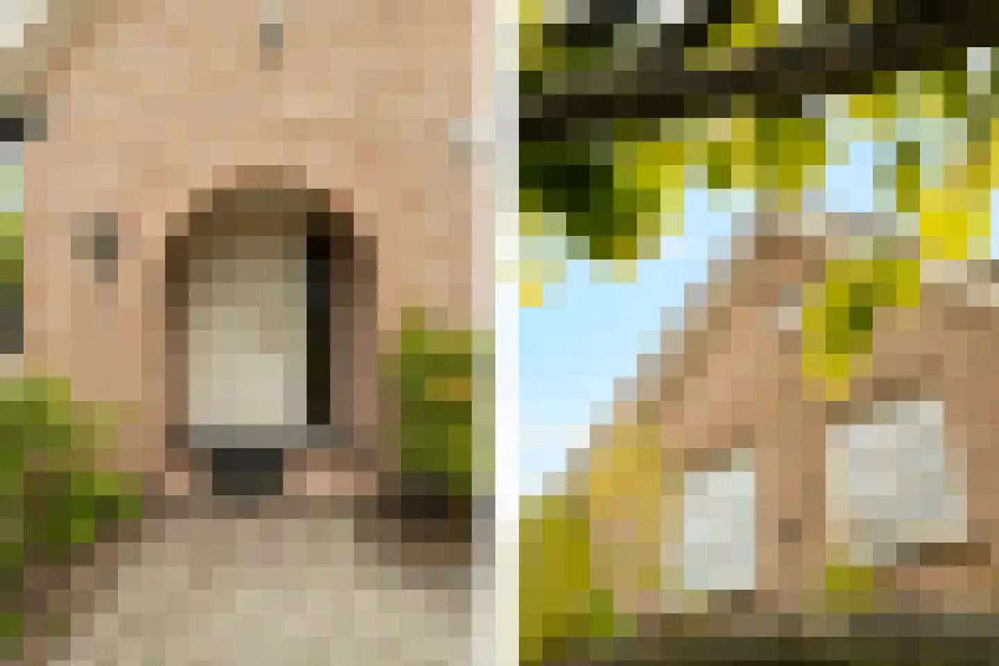 Tureluur 10 Groet thumbnail 9