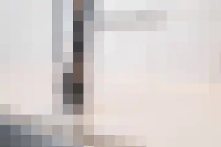 Tureluur 10 Waspik thumbnail 11
