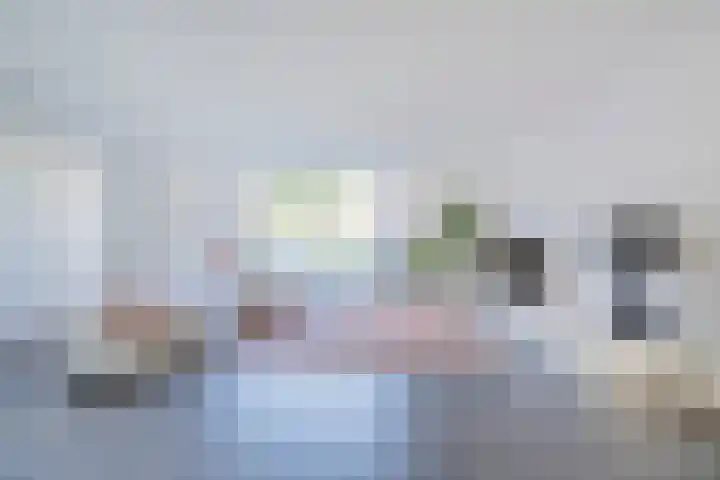 Tureluur 10 Waspik thumbnail 13