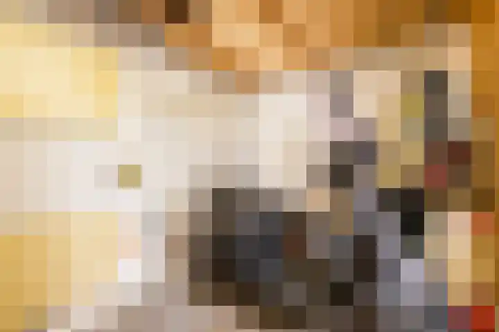 Tureluur 10 Waspik thumbnail 18