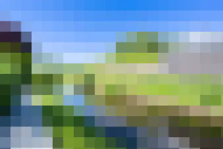 Tureluur 10 Waspik foto 2