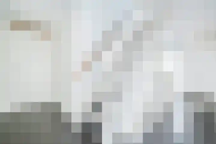 Tureluur 10 Waspik thumbnail 20