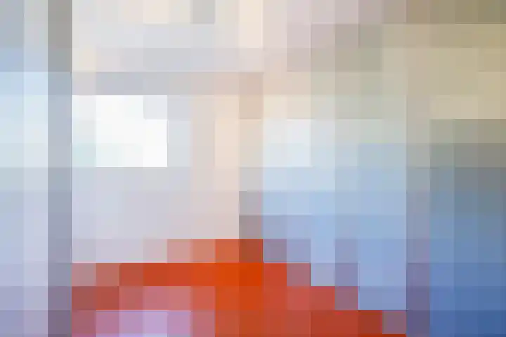 Tureluur 10 Waspik thumbnail 25