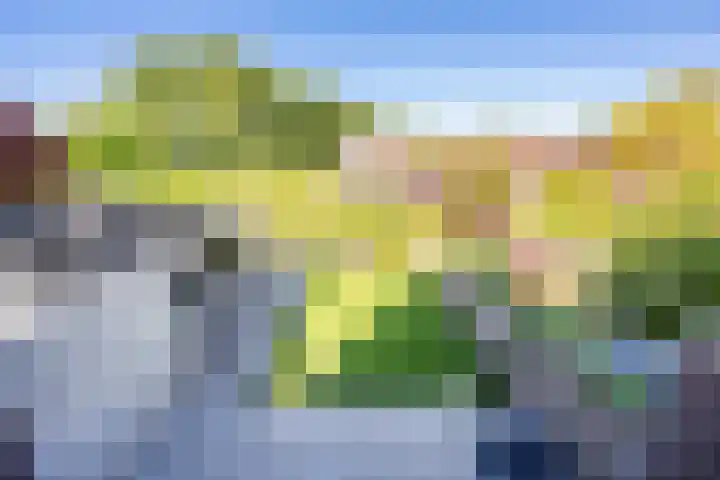 Tureluur 10 Waspik thumbnail 26