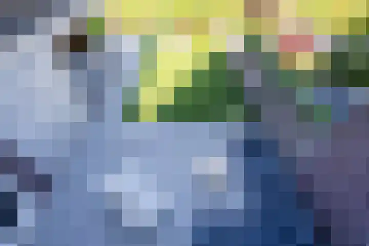 Tureluur 10 Waspik thumbnail 27