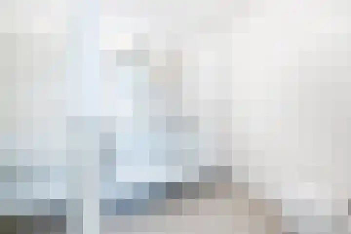 Tureluur 10 Waspik thumbnail 29