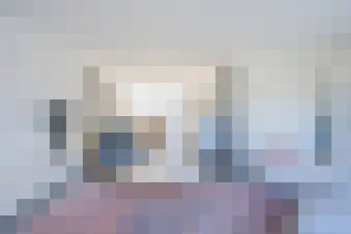 Tureluur 10 Waspik foto 3