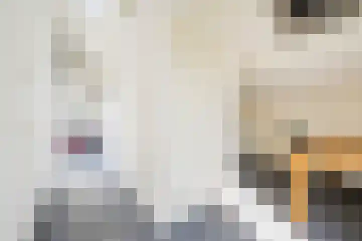 Tureluur 10 Waspik thumbnail 31