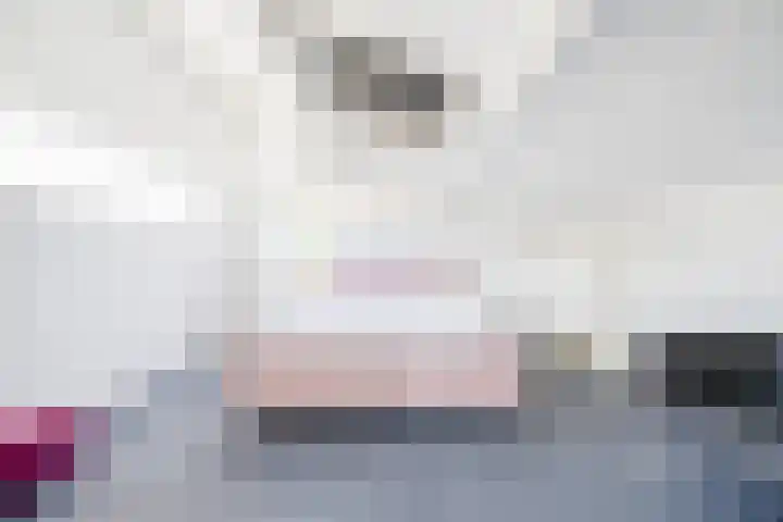 Tureluur 10 Waspik thumbnail 32