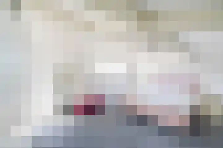 Tureluur 10 Waspik thumbnail 33