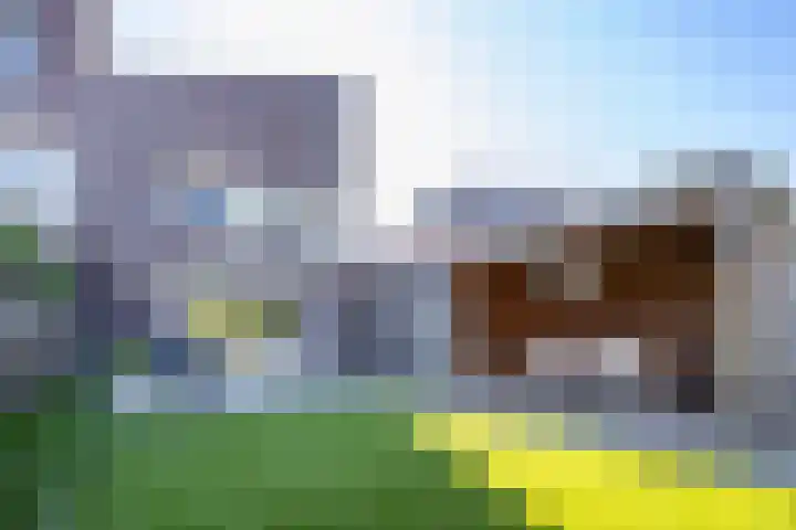 Tureluur 10 Waspik thumbnail 34