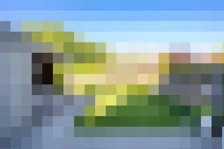Tureluur 10 Waspik thumbnail 35