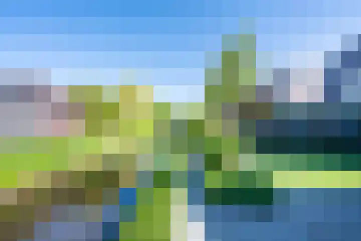 Tureluur 10 Waspik thumbnail 36