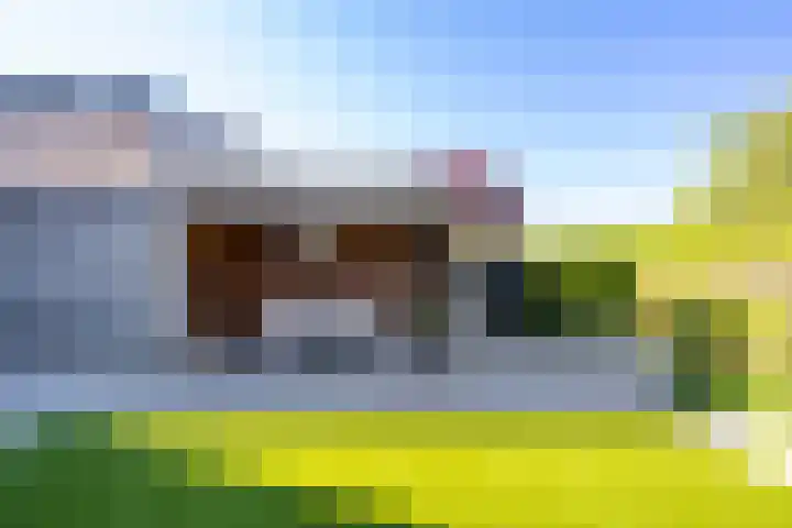 Tureluur 10 Waspik thumbnail 37