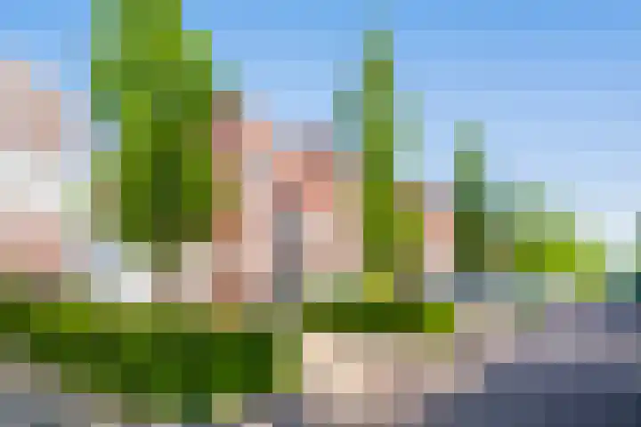 Tureluur 10 Waspik thumbnail 38