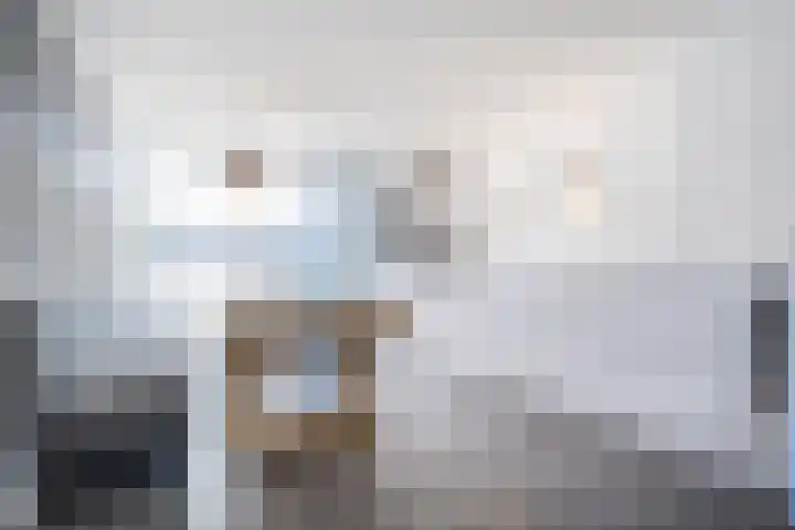 Tureluur 10 Waspik thumbnail 4