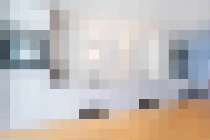 Tureluur 10 Waspik thumbnail 8