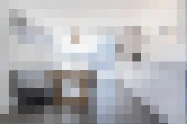 Tureluur 10 Waspik thumbnail 9