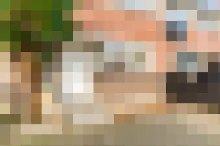 Tureluur 13 Velserbroek thumbnail 10